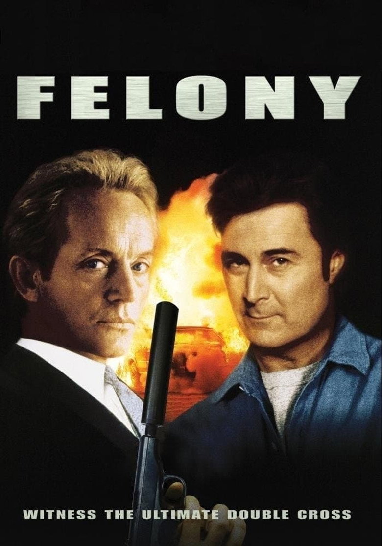 Felony (1994) TMDB poster