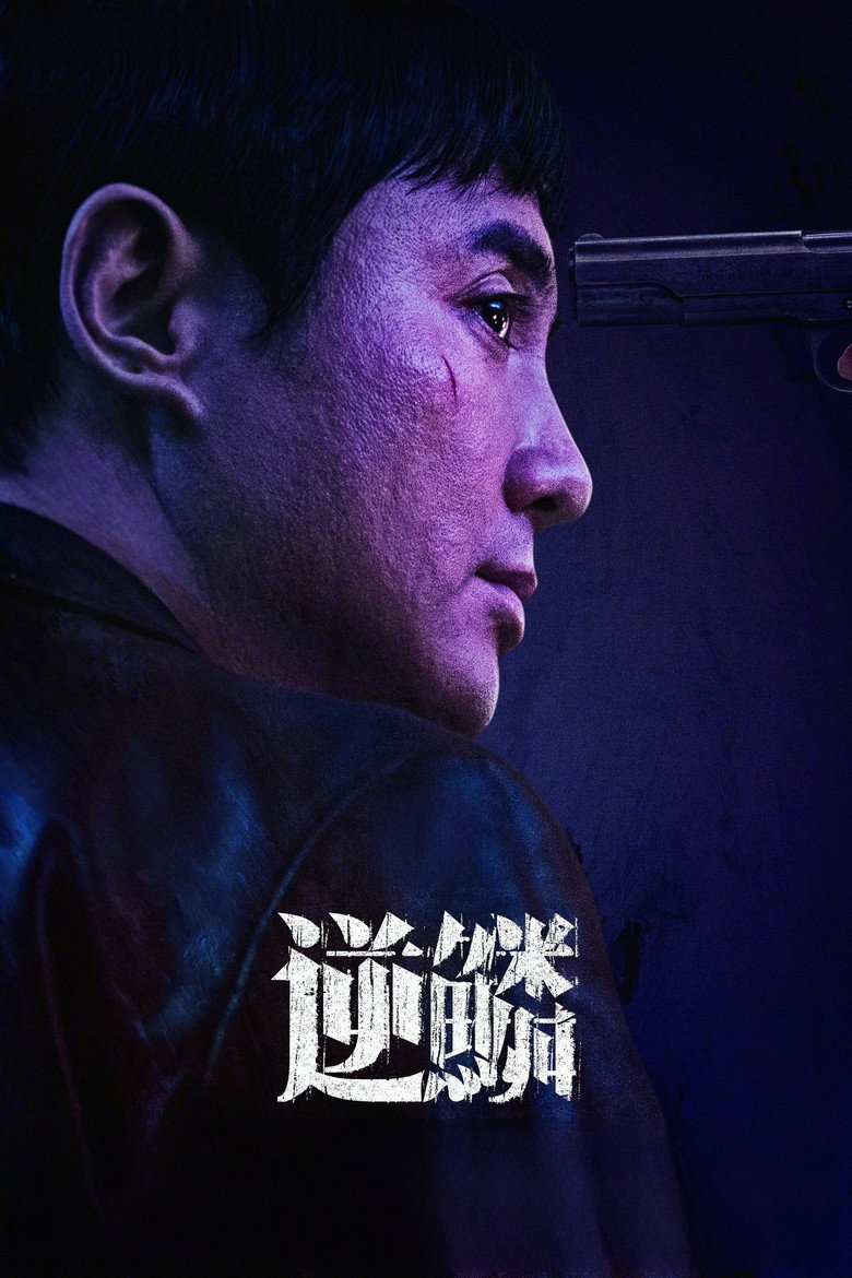 逆鳞 (2024) TMDB poster