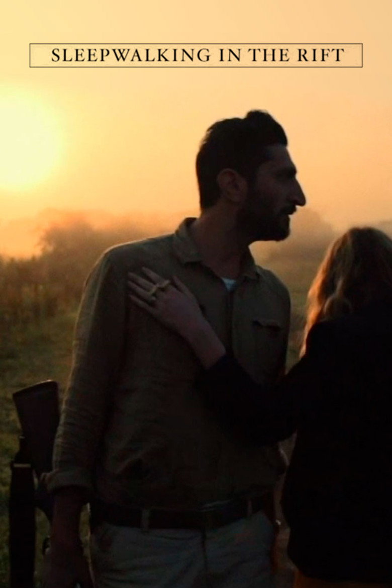 Sleepwalking in the Rift (2012) TMDB poster