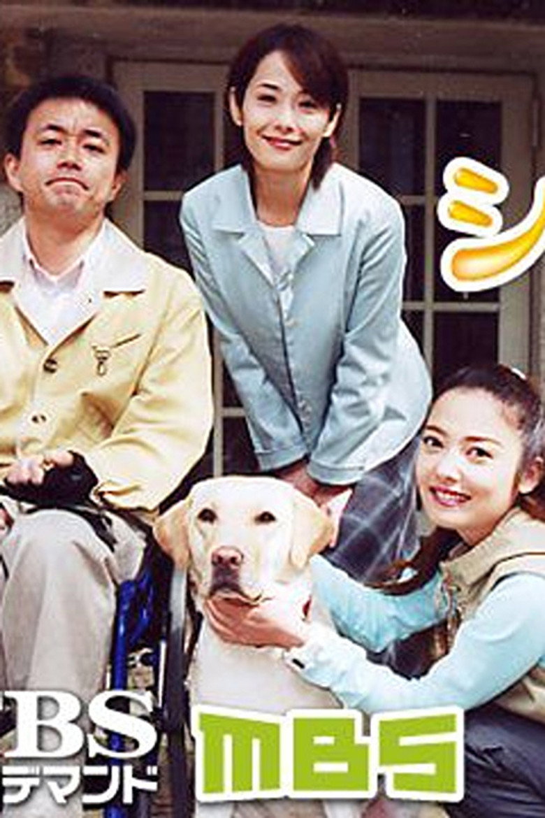 シンシア 〜介助犬誕生ものがたり〜 (2003) TMDB poster
