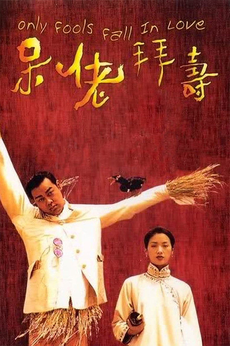 呆佬拜壽 (1995) TMDB poster
