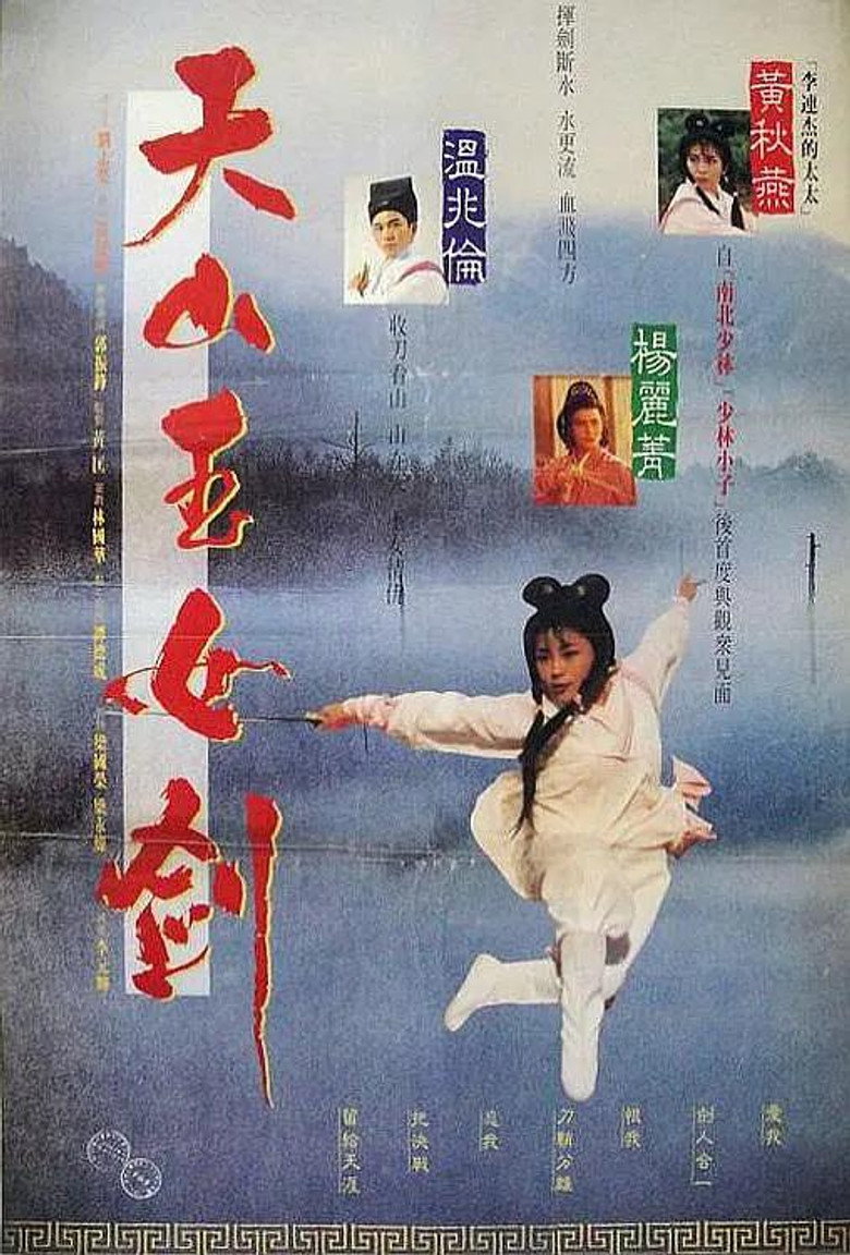 天山玉女劍 (1993) TMDB poster