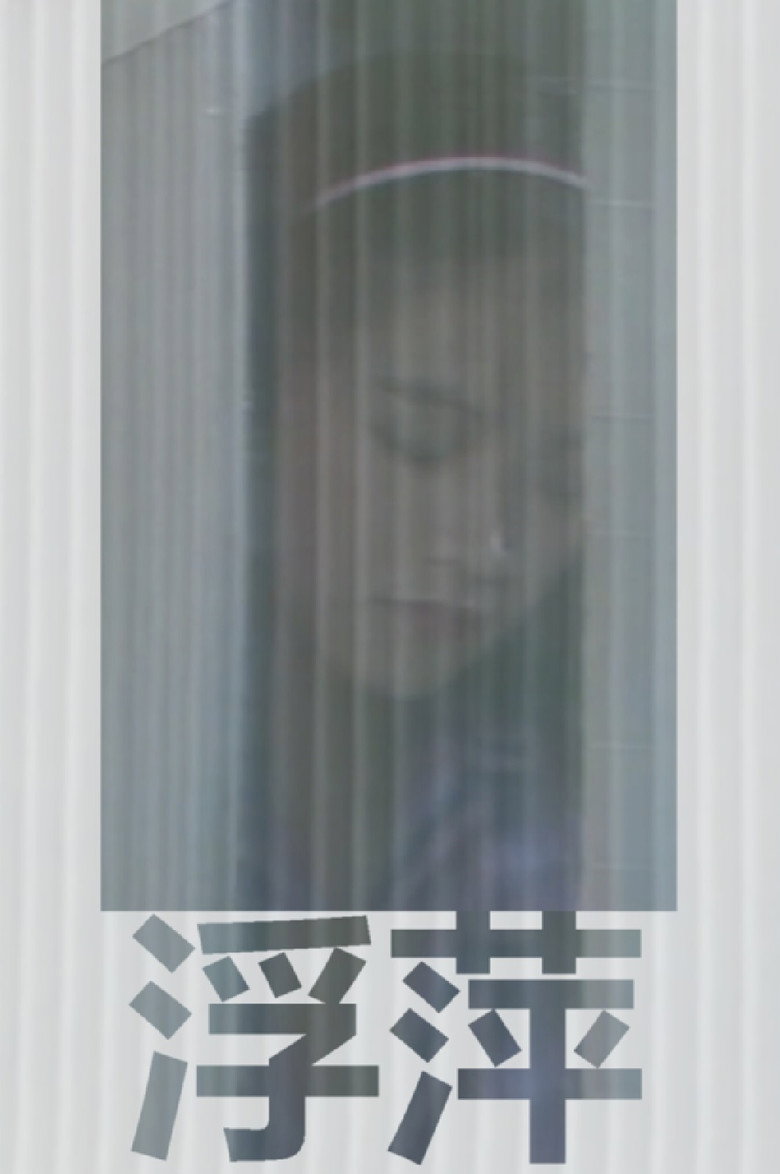 浮萍 (1981) TMDB poster