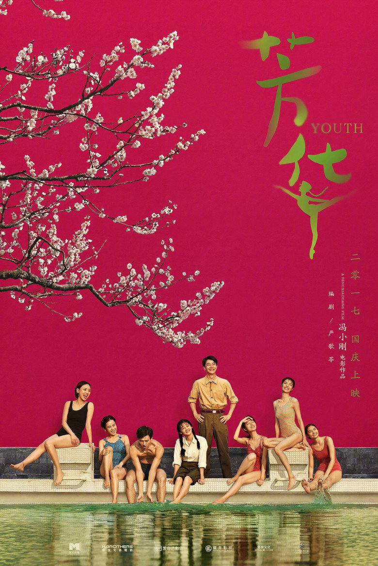芳华 (2017) TMDB poster