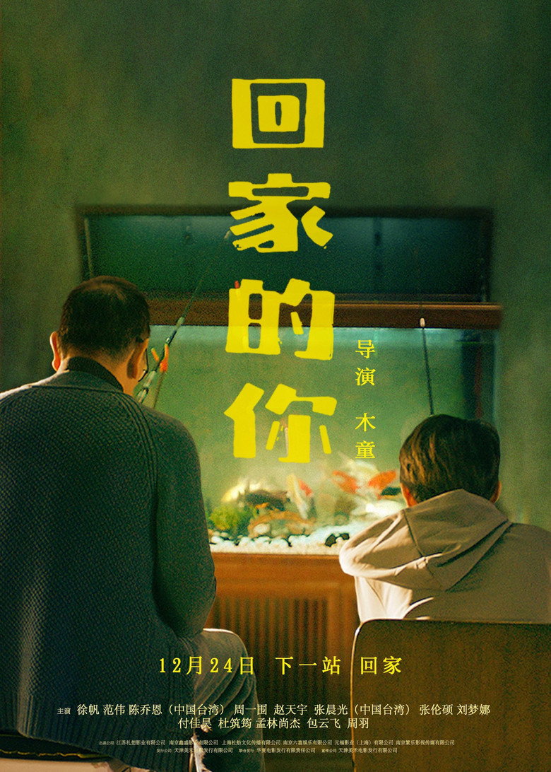 回家的你 (2024) TMDB poster