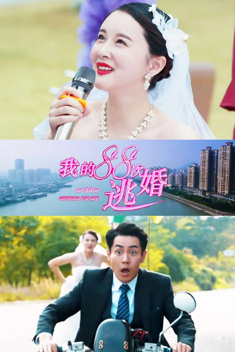 我的88次逃婚 (2019) TMDB poster