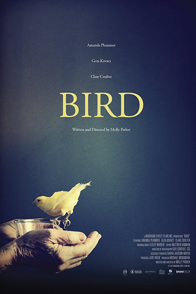 Bird (2017) TMDB poster