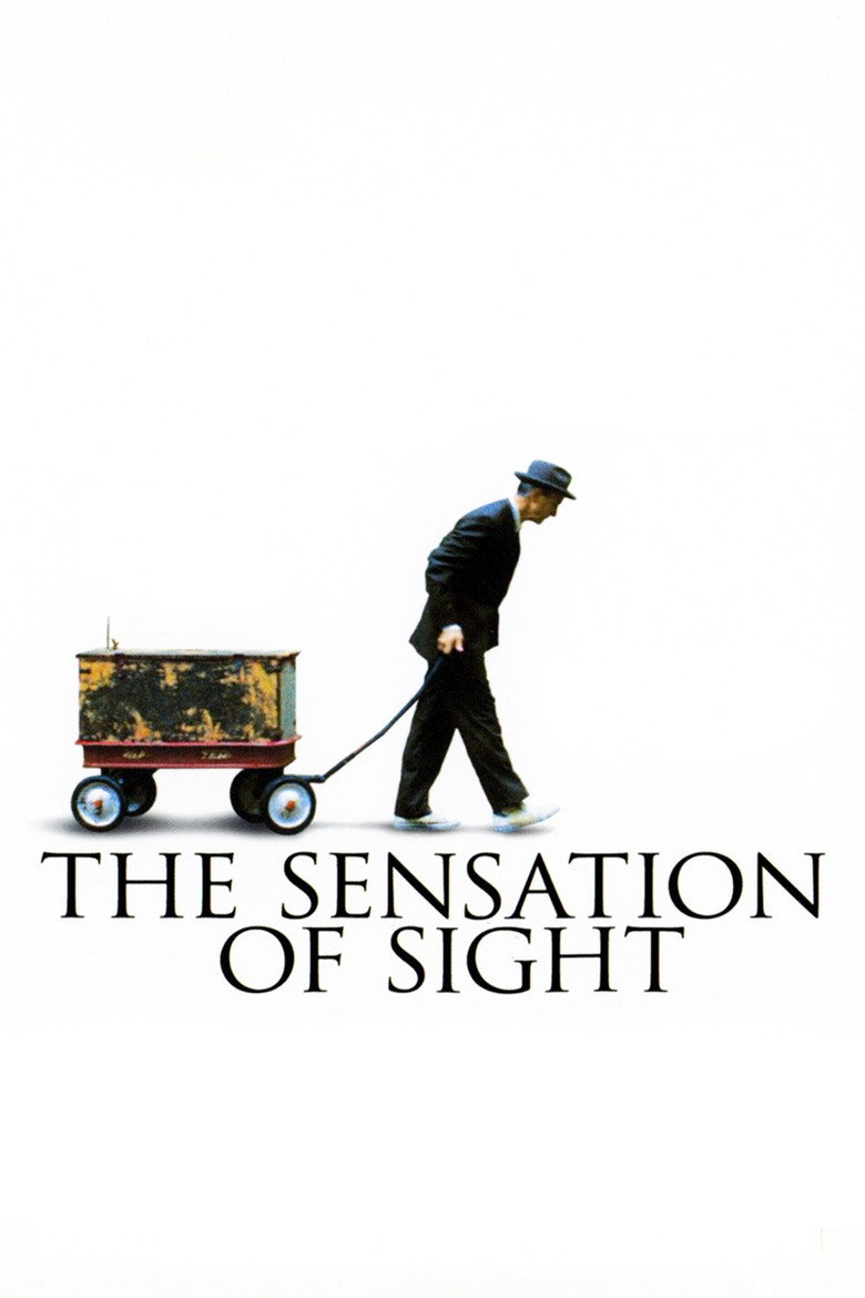 The Sensation of Sight (2006) TMDB poster
