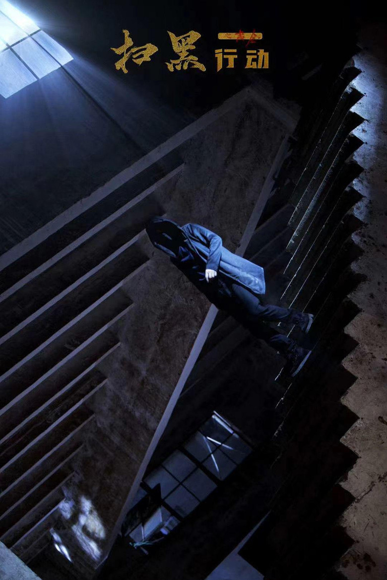 扫黑行动之黄金 (2024) TMDB poster
