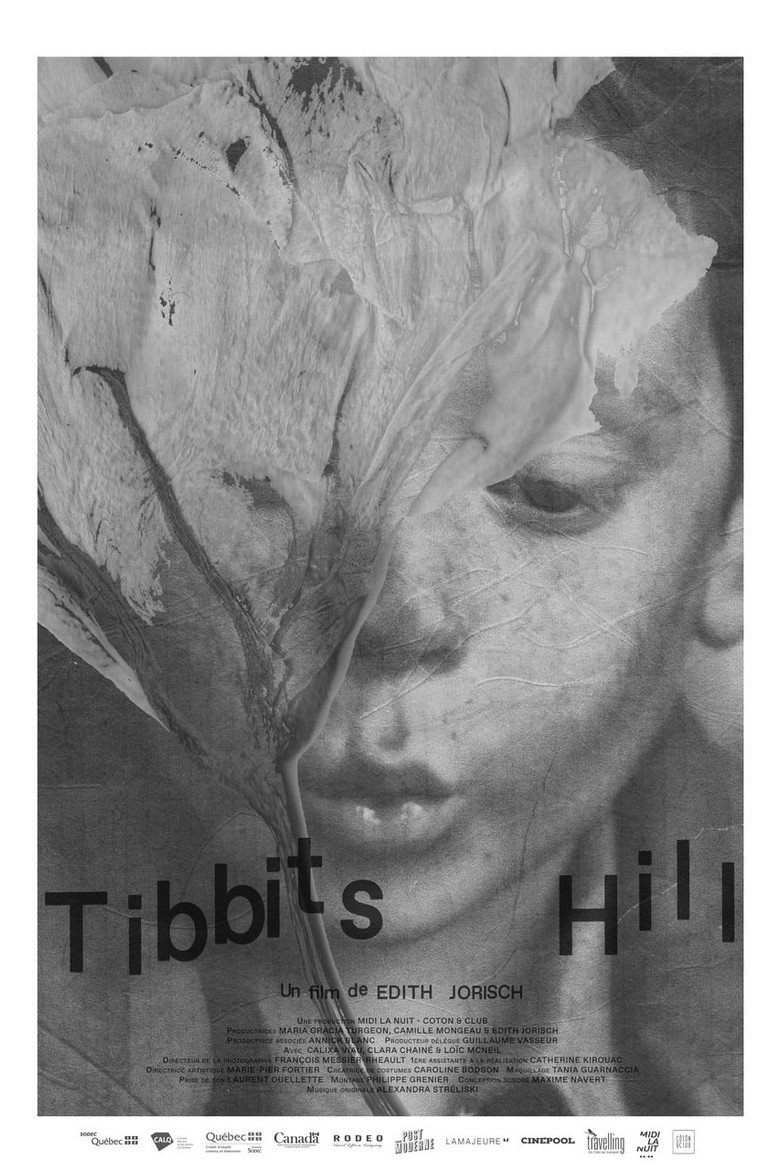 Tibbits Hill (2021) TMDB poster