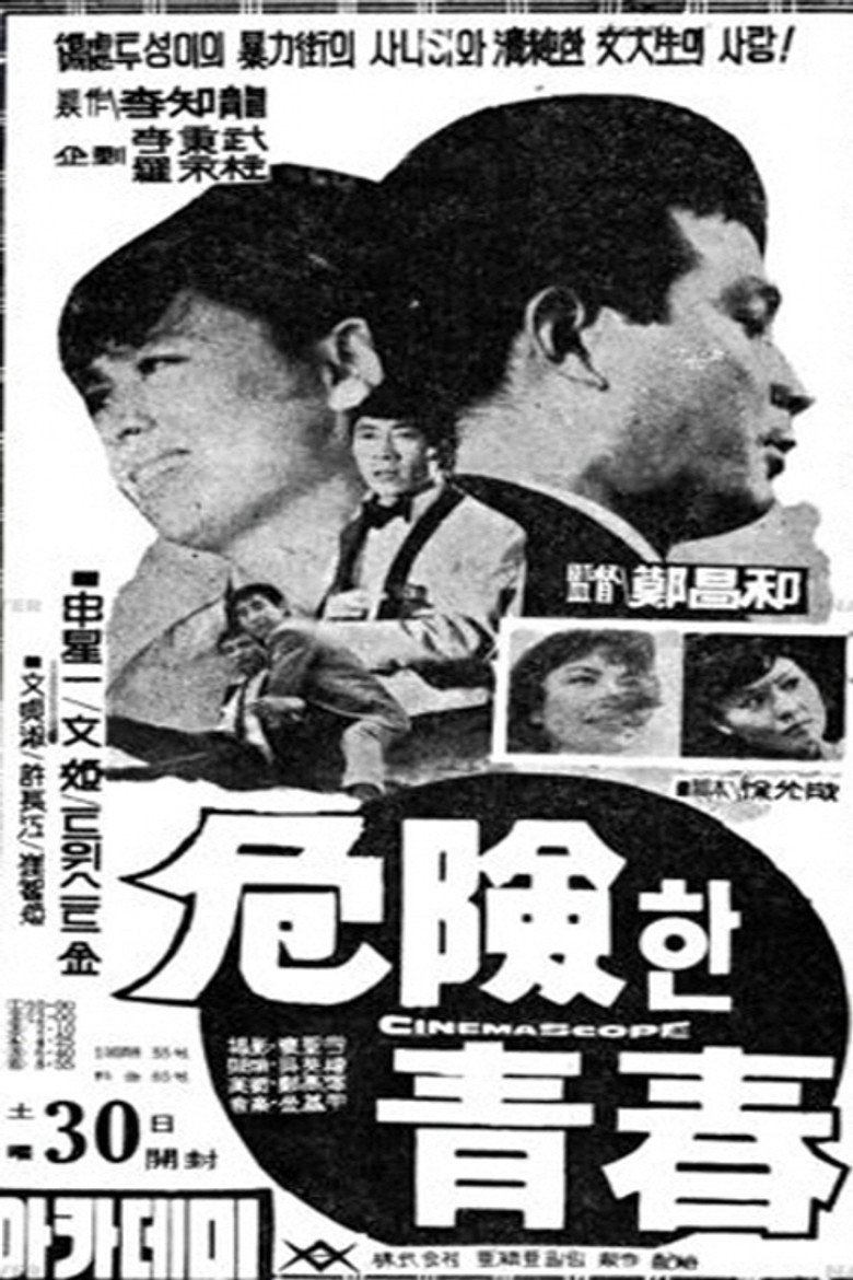 위험한 청춘 (1966) TMDB poster