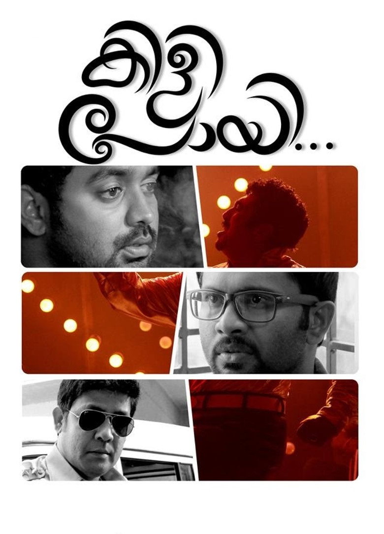 കിളി പോയി (2013) TMDB poster