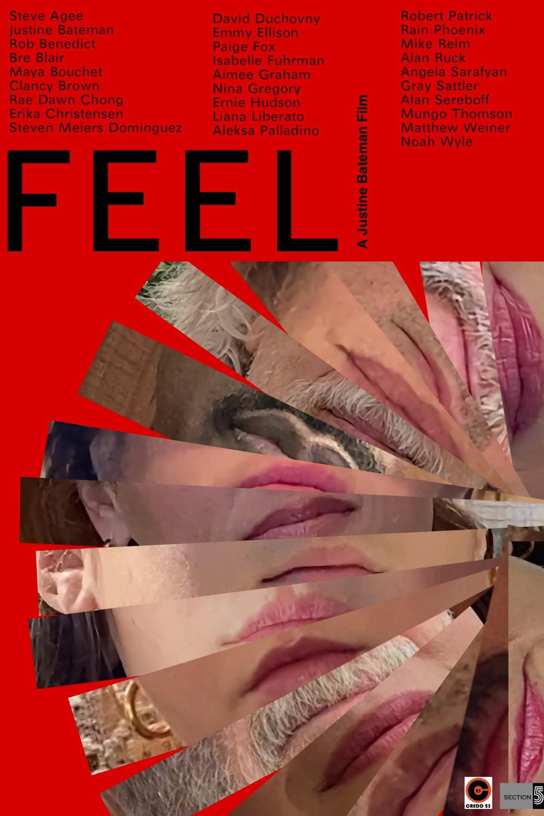 FEEL (2025) TMDB poster