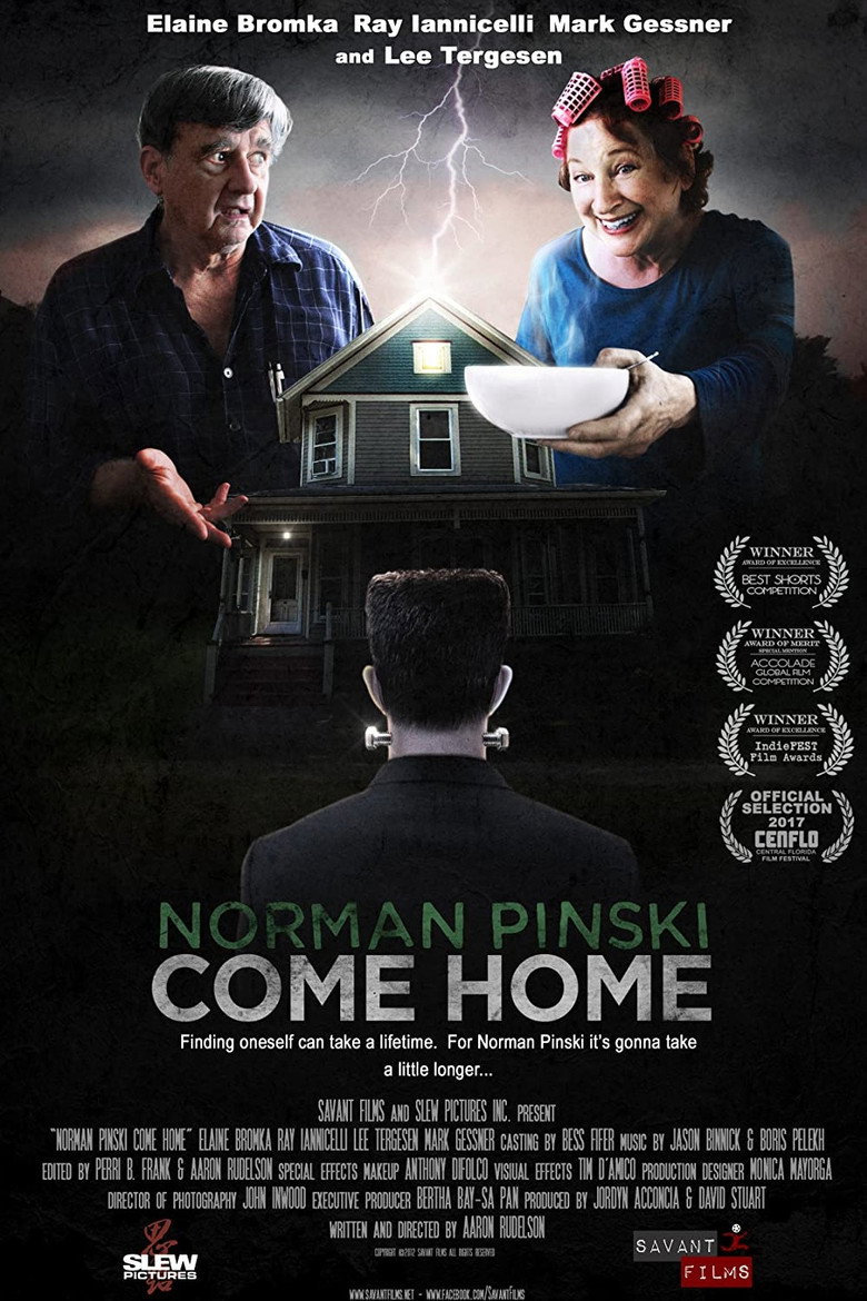 Norman Pinski Come Home (2017) TMDB poster