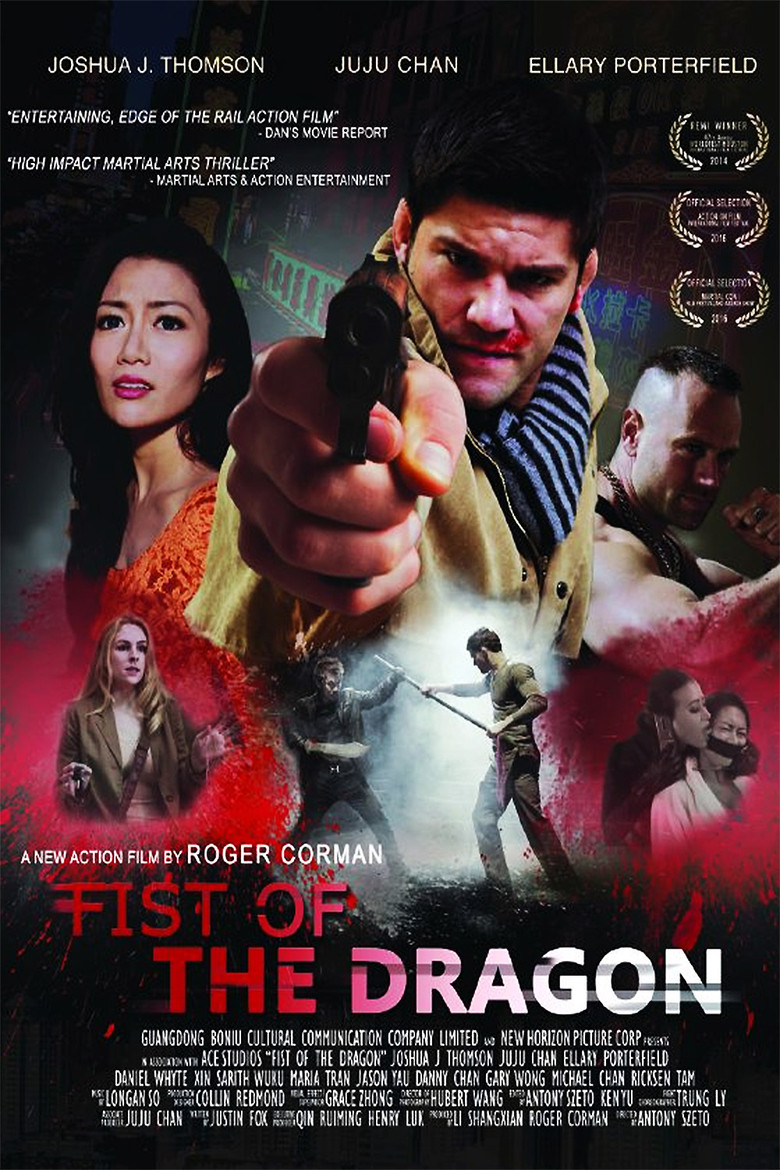Fist of the Dragon (2014) TMDB poster