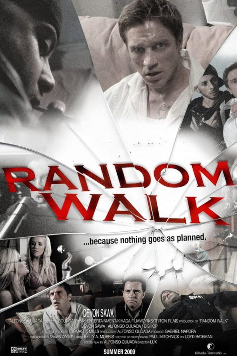 Random Walk (2010) TMDB poster