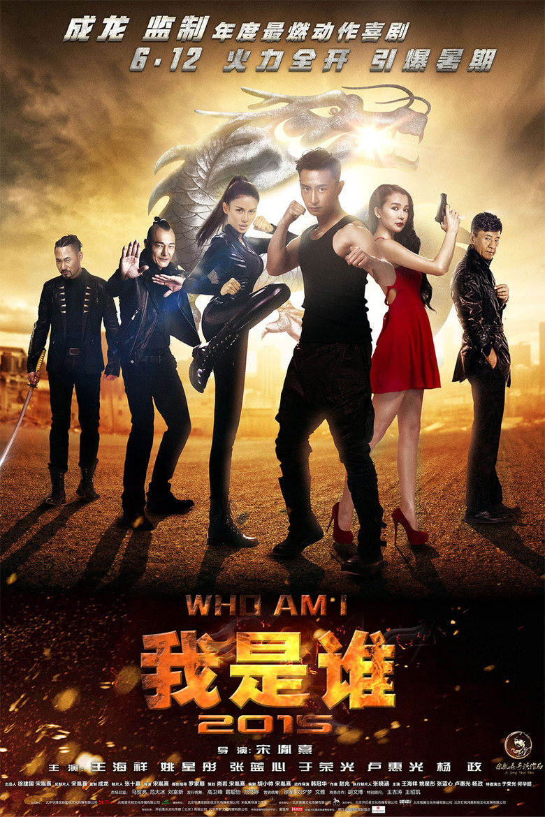 我是谁2015 (2015) TMDB poster