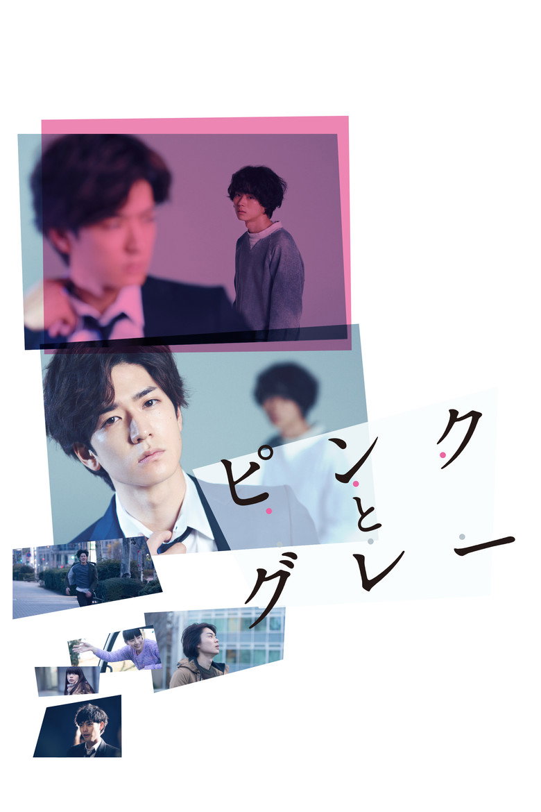 ピンクとグレー (2016) TMDB poster