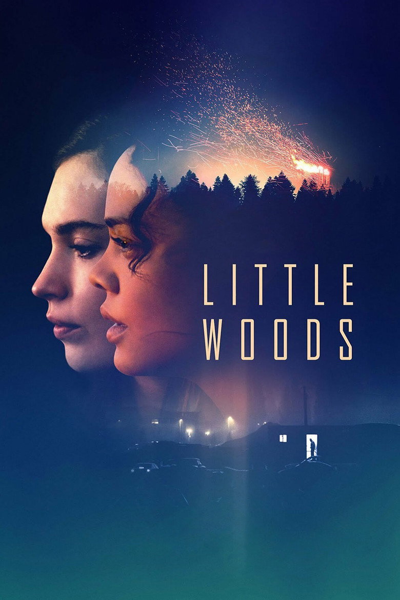 Маленькі ліси / Little Woods (2019) TMDB poster
