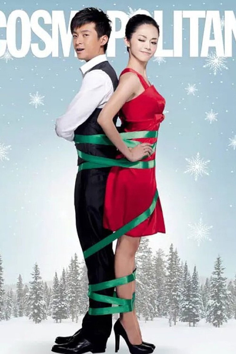 摇摆de婚约 (2010) TMDB poster