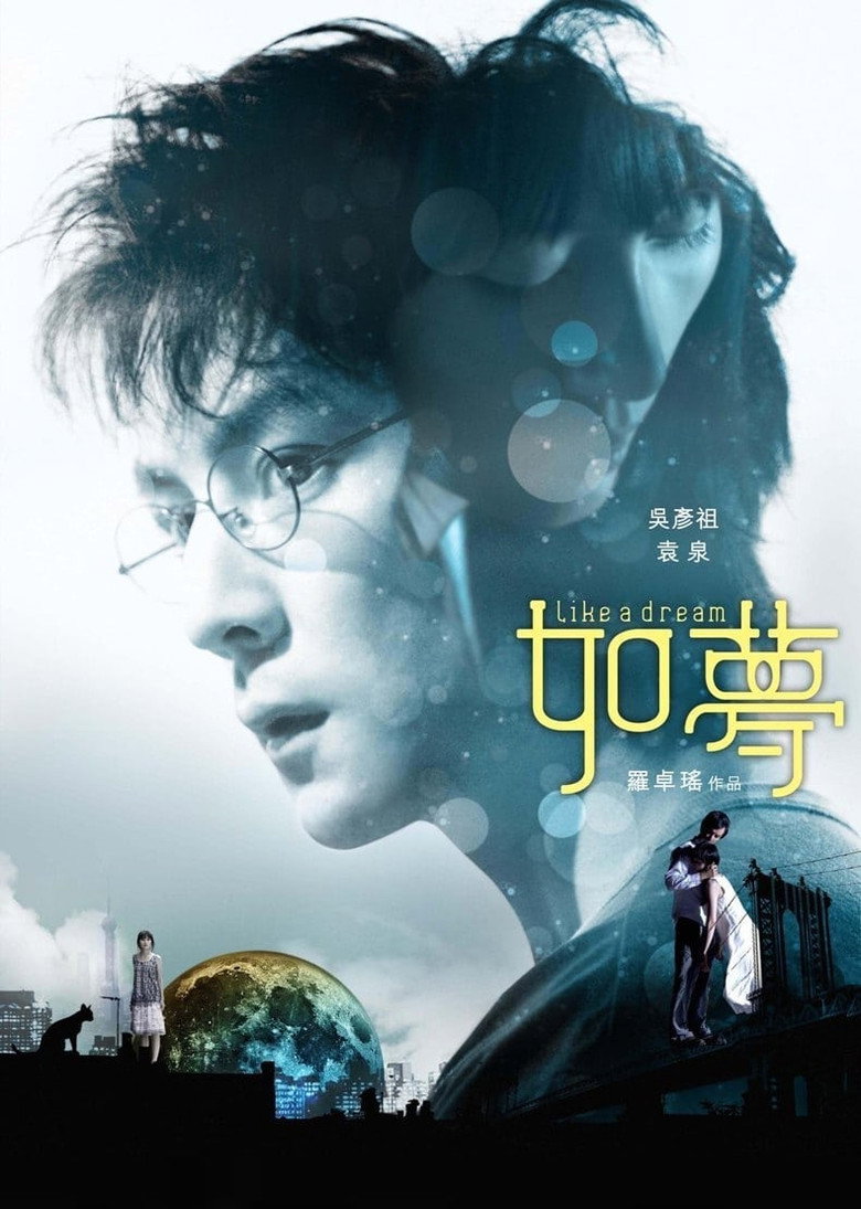 如梦 (2010) TMDB poster