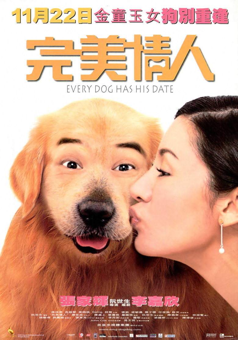 完美情人 (2001) TMDB poster