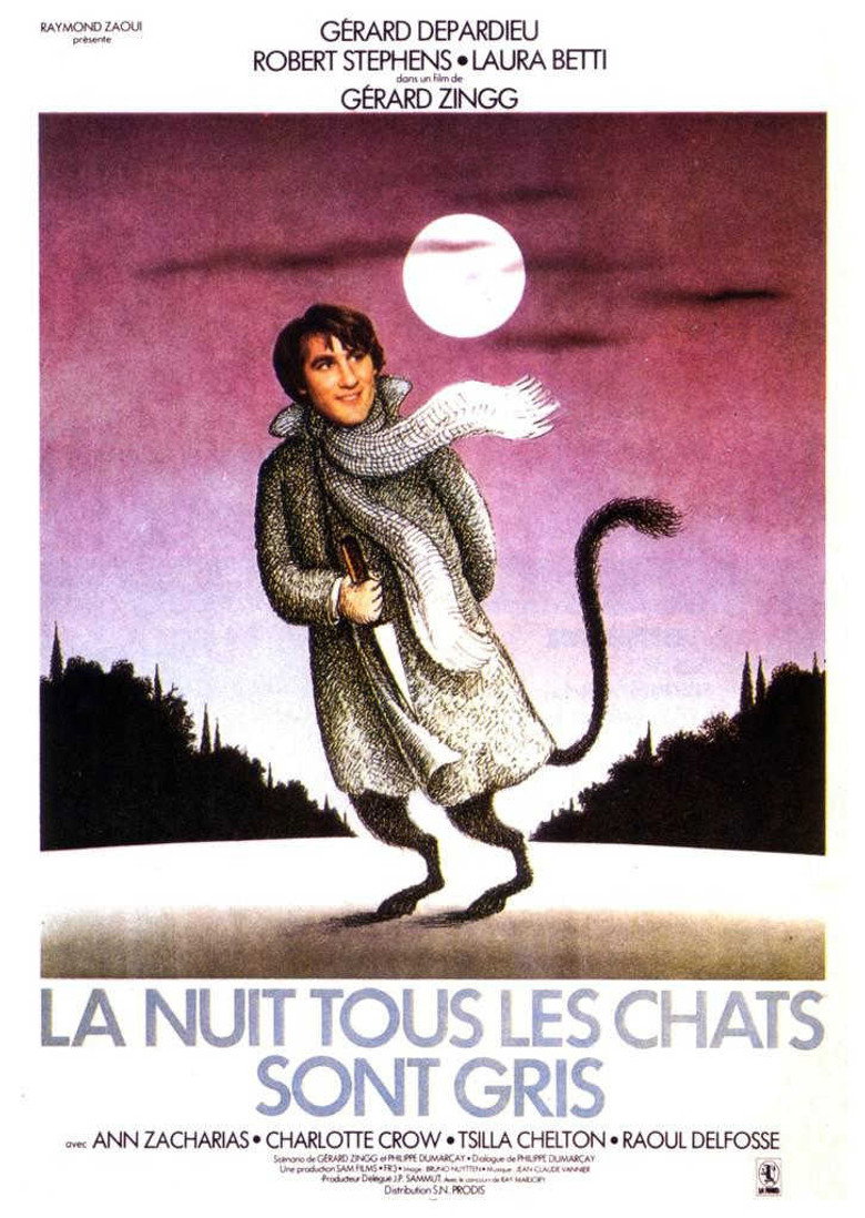 La nuit, tous les chats sont gris (1977) TMDB poster