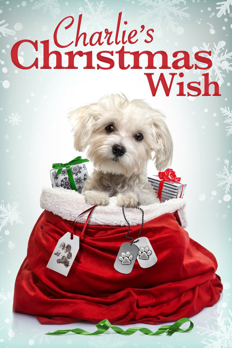 Charlie's Christmas Wish (2020) TMDB poster