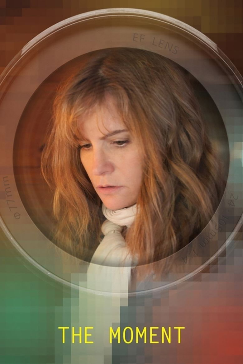 The Moment (2013) TMDB poster