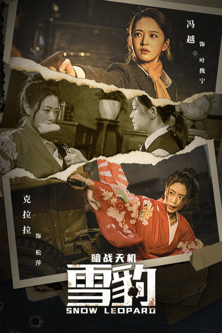 雪豹之暗战天机 (2021) TMDB poster