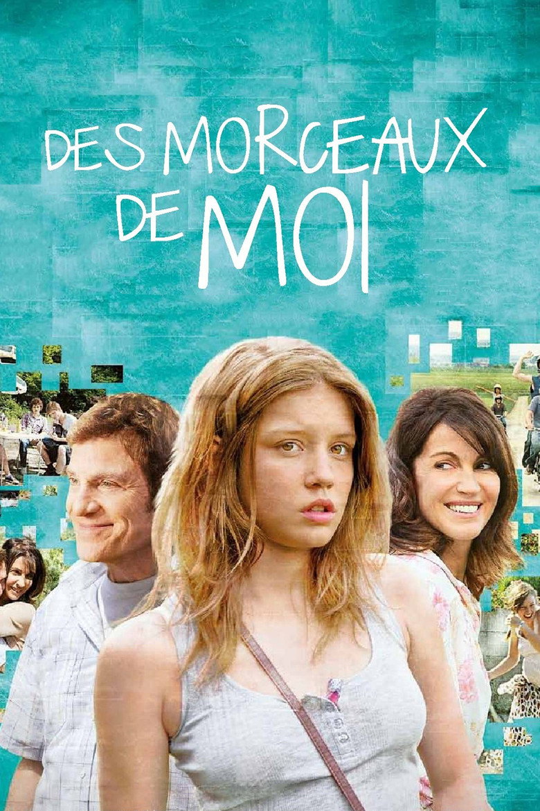 Des morceaux de moi (2013) TMDB poster