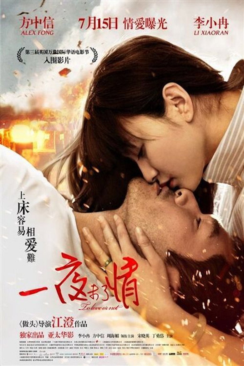 一夜未了情 (2011) TMDB poster