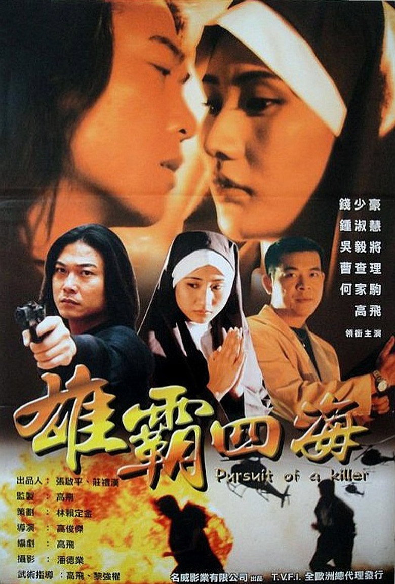 雄霸四海 (2000) TMDB poster