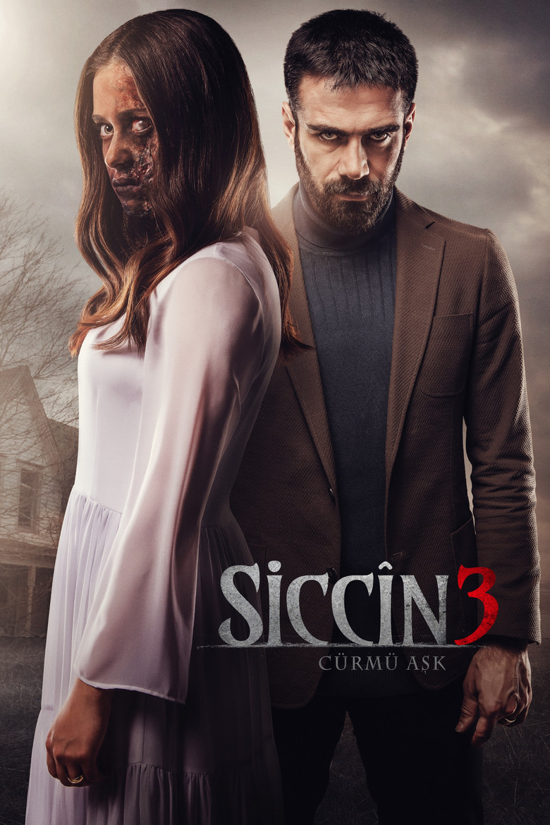 Siccîn 3: Cürmü Aşk (2016) TMDB poster