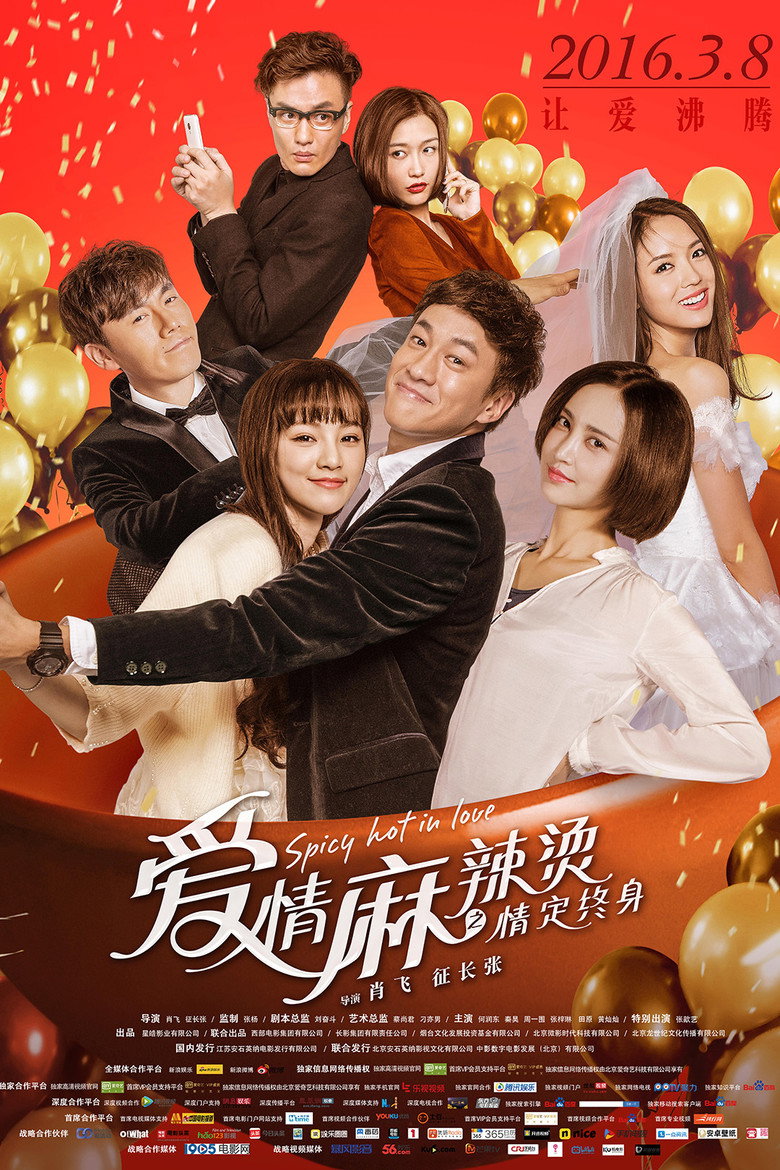 爱情麻辣烫之情定终 (2016) TMDB poster