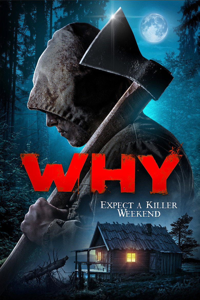 Why? (2021) TMDB poster