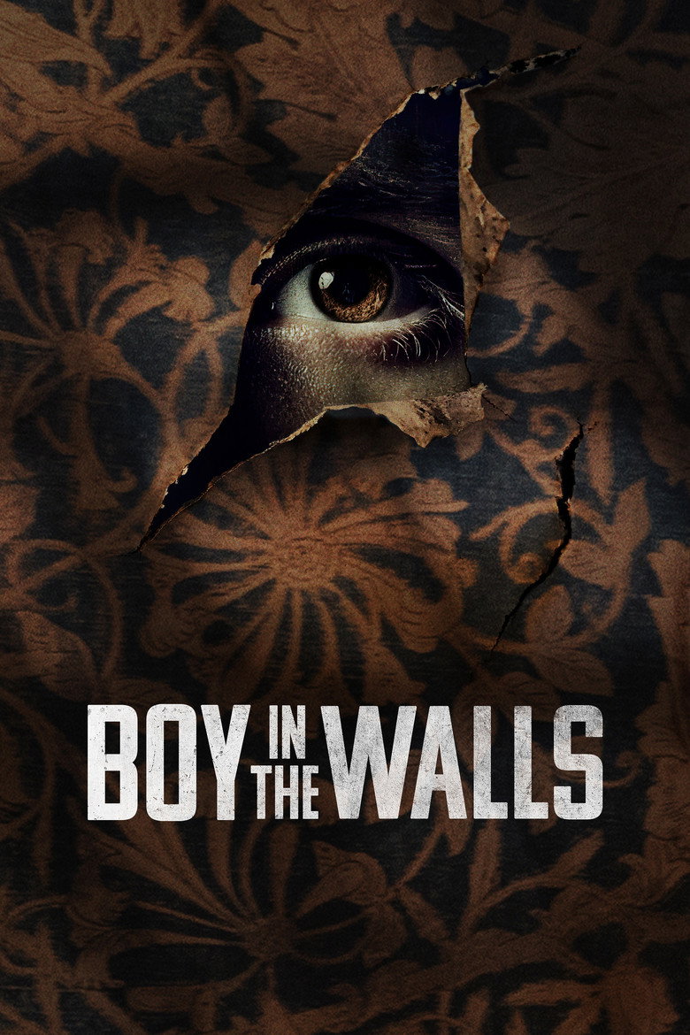 Boy in the Walls (2023) TMDB poster