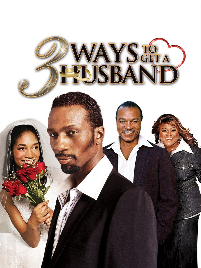 3 Ways to Get a Husband (2010) TMDB poster