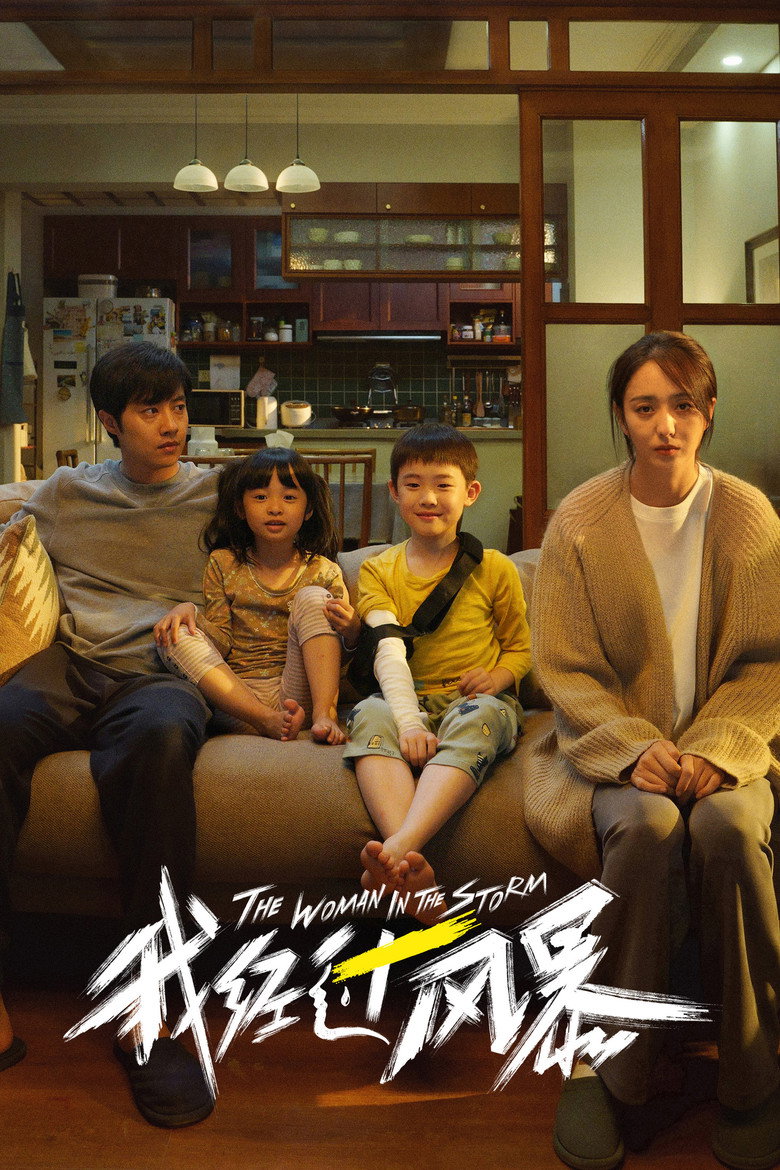 我经过风暴 (2023) TMDB poster