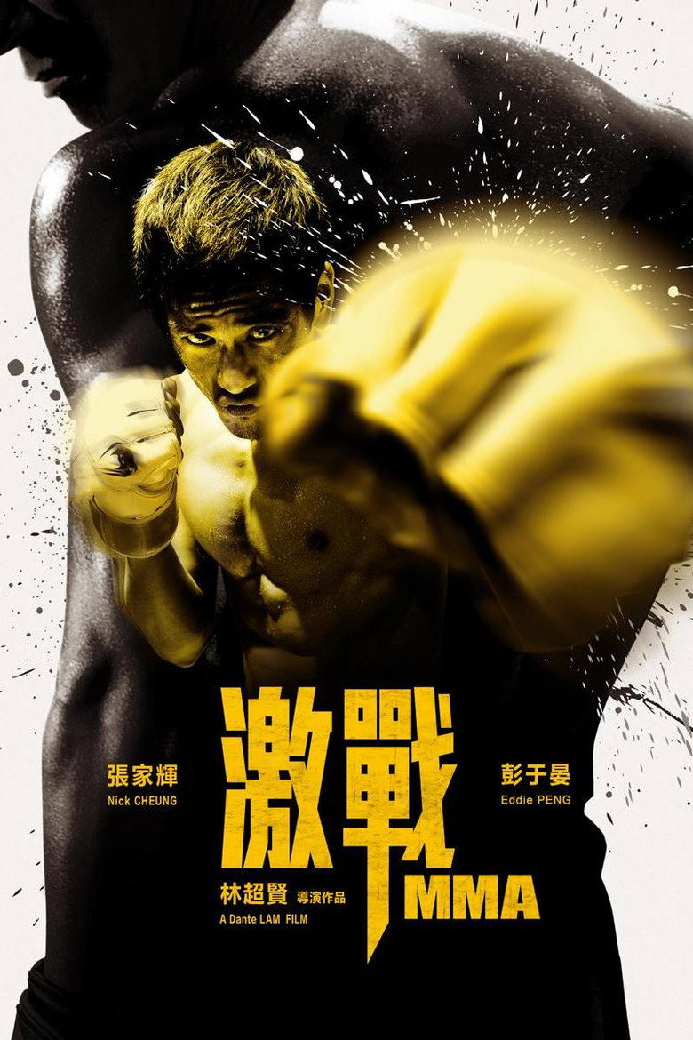 激戰 (2013) TMDB poster