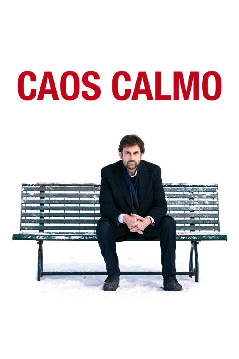 Caos calmo (2008) TMDB poster