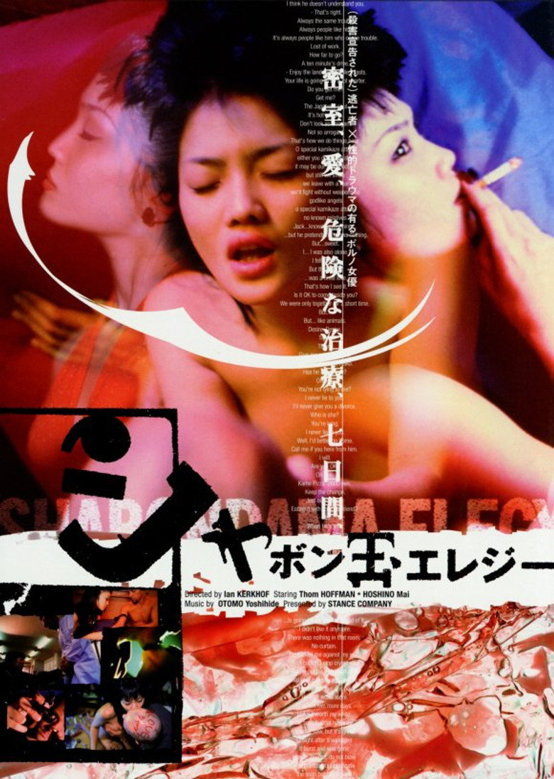 シャボン玉エレジー (1999) TMDB poster
