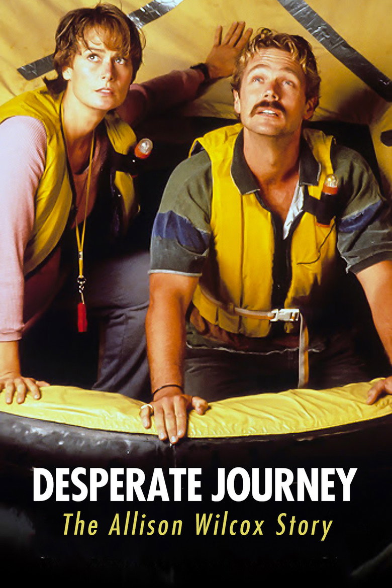 Desperate Journey: The Allison Wilcox Story (1993) TMDB poster