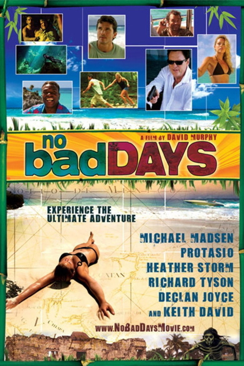 No Bad Days (2008) TMDB poster
