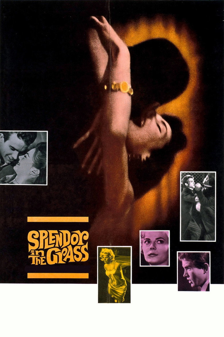Splendor in the Grass (1961) TMDB poster