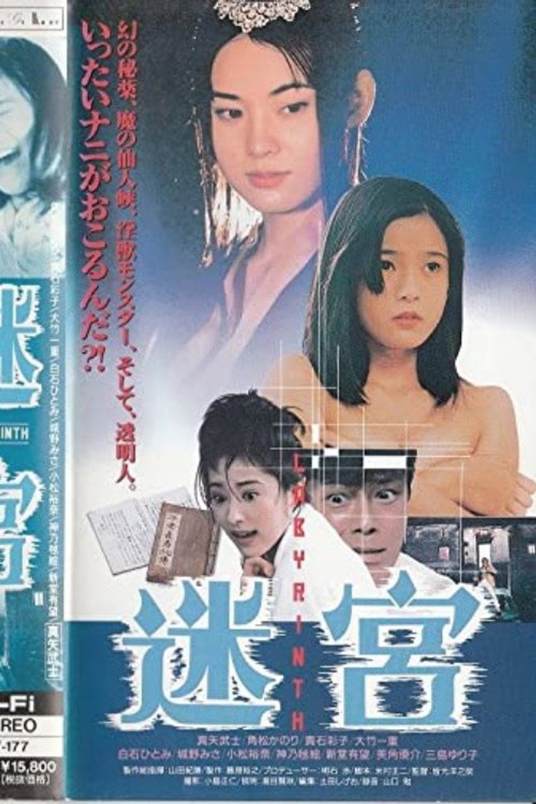 迷宮 (1996) TMDB poster