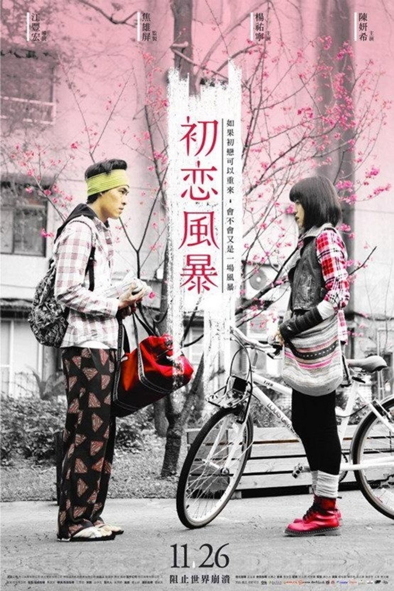 初戀風暴 (2010) TMDB poster