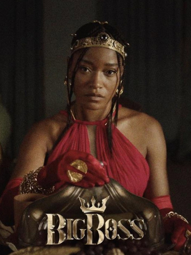 Big Boss (2023) TMDB poster
