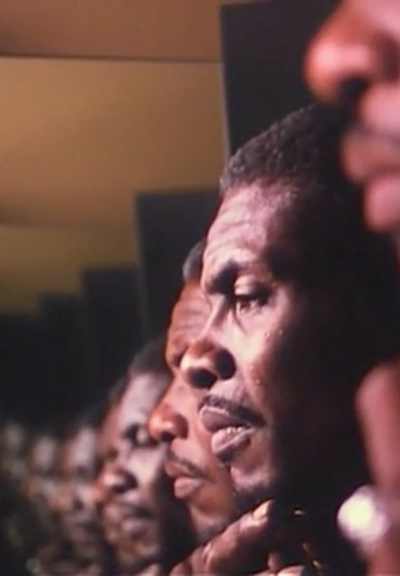 Hallelujah Anyhow (1991) TMDB poster