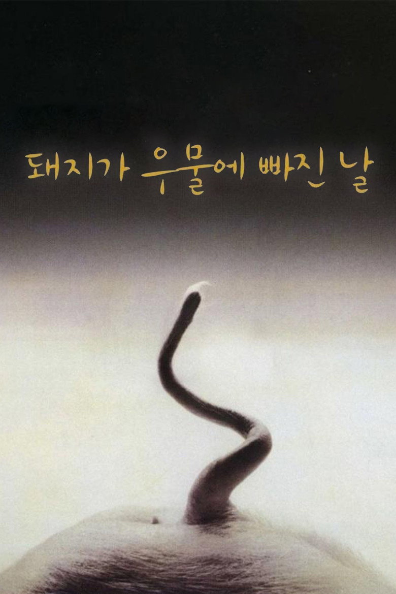돼지가 우물에 빠진 날 (1996) TMDB poster